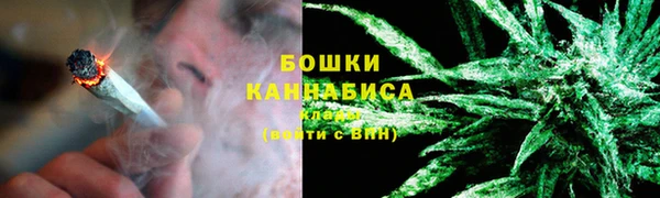 прущие грибы Белоозёрский