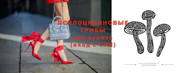 ГАЛЛЮЦИНОГЕННЫЕ ГРИБЫ Богданович