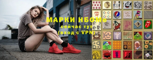 ГАЛЛЮЦИНОГЕННЫЕ ГРИБЫ Богданович