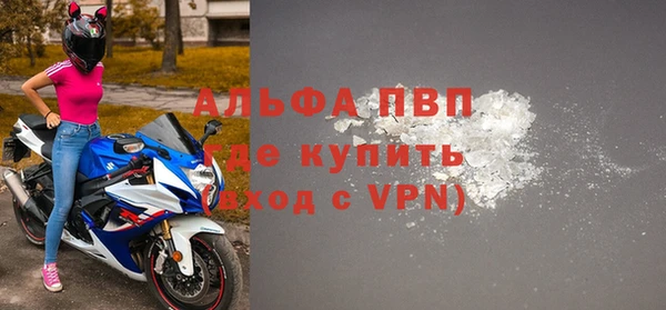 ГАЛЛЮЦИНОГЕННЫЕ ГРИБЫ Богданович