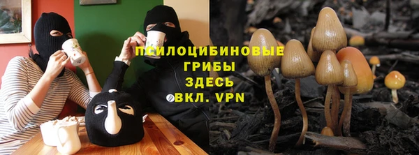 крисы Беломорск