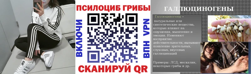 даркнет сайт  Белая Холуница  Галлюциногенные грибы Cubensis 