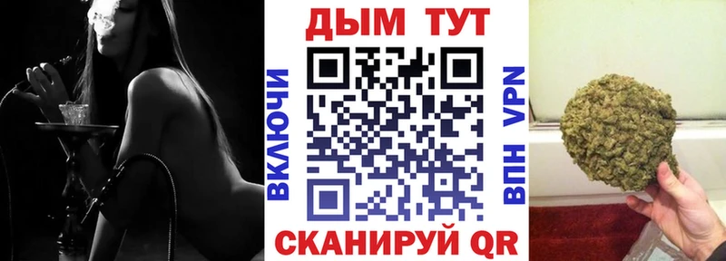Каннабис OG Kush  Белая Холуница 